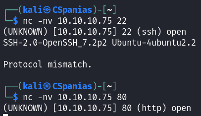 Banner grabbing with netcat