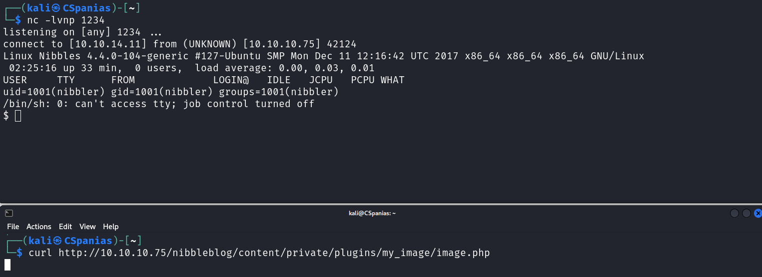 Reverse shell obtained