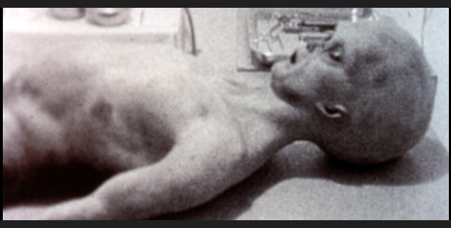 alien-photo
