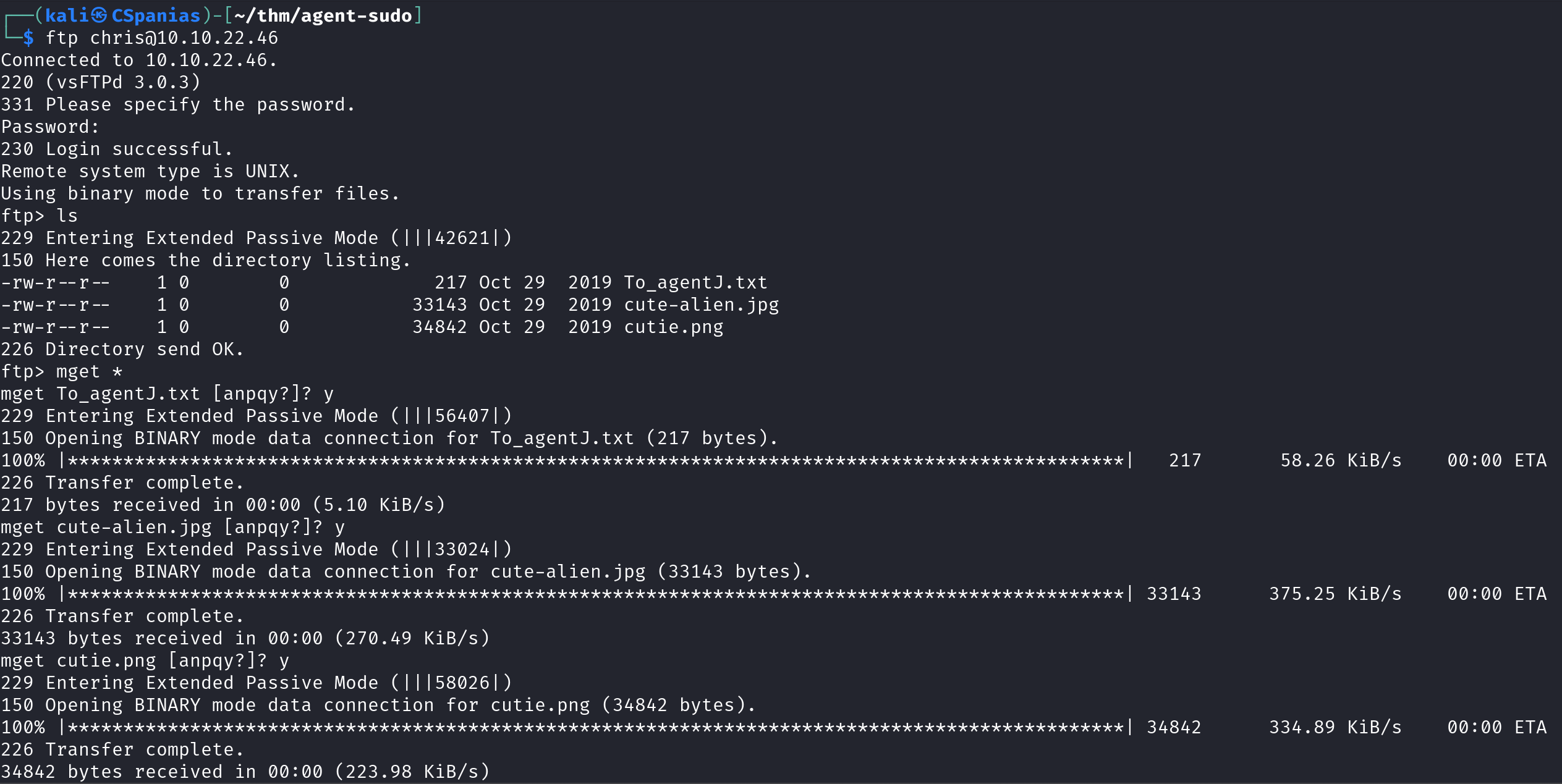 ftp-mget