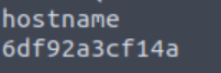 hostname_container