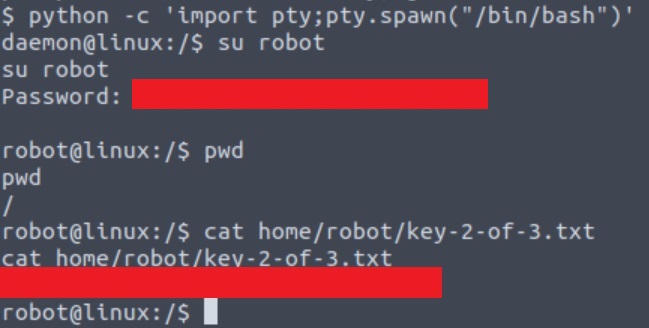 Launching bash using Python.