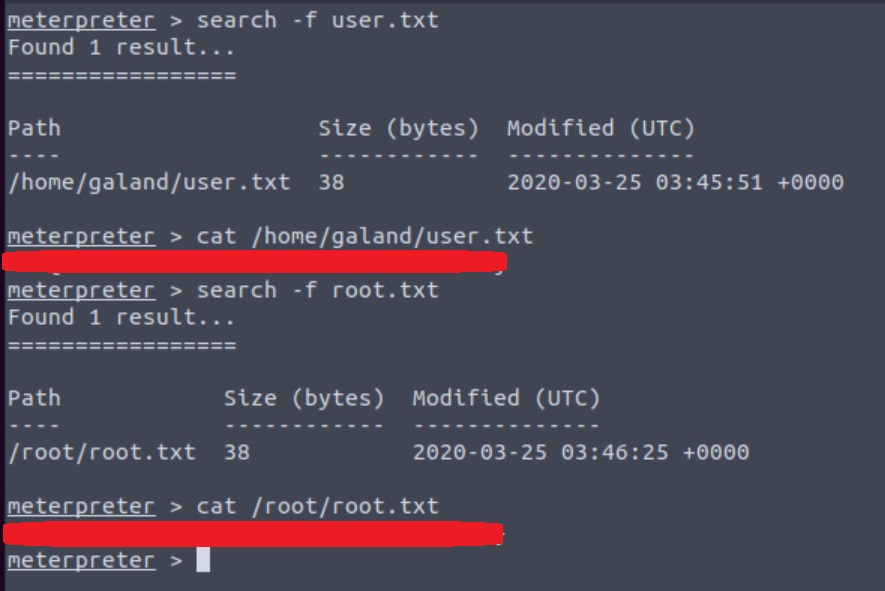 metasploit_flags