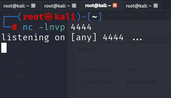 Reverse Shell Caught
